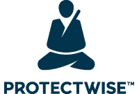 Palo Alto Networks Ignite 2016: Sponsor: ProtectWise